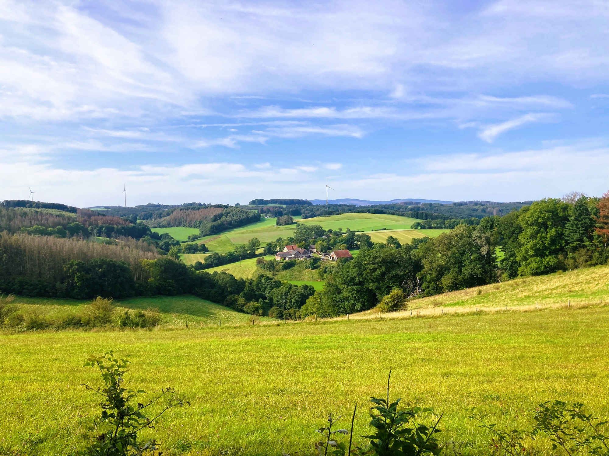 Oelinghausen, mehr als ein Kloster Historische Klosterlandschaft